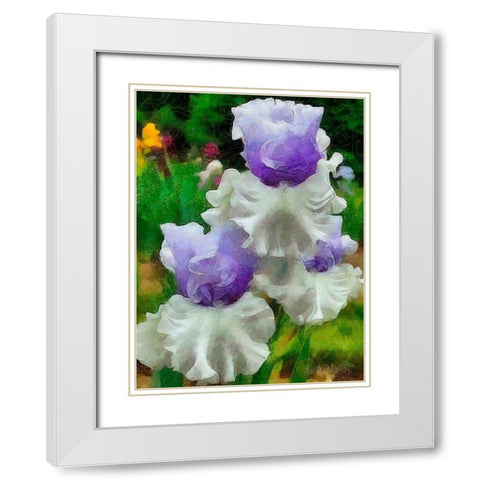 White and Purple Iris White Modern Wood Framed Art Print with Double Matting by Medeiros, Celito