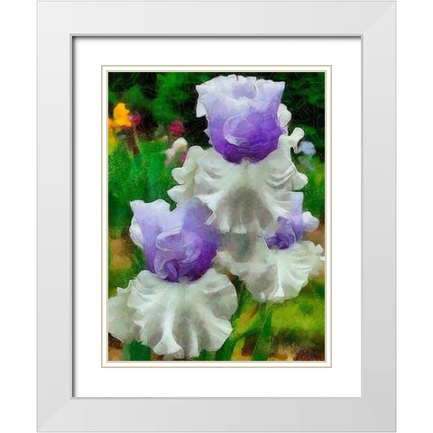 White and Purple Iris White Modern Wood Framed Art Print with Double Matting by Medeiros, Celito