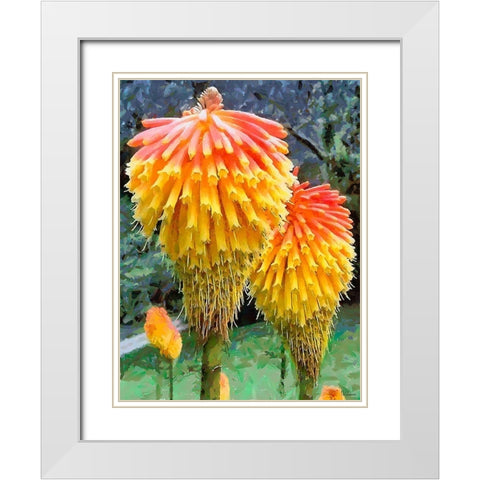 Miracle Flower White Modern Wood Framed Art Print with Double Matting by Medeiros, Celito