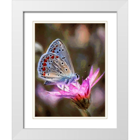 Butterfly on Pink Flower White Modern Wood Framed Art Print with Double Matting by Medeiros, Celito