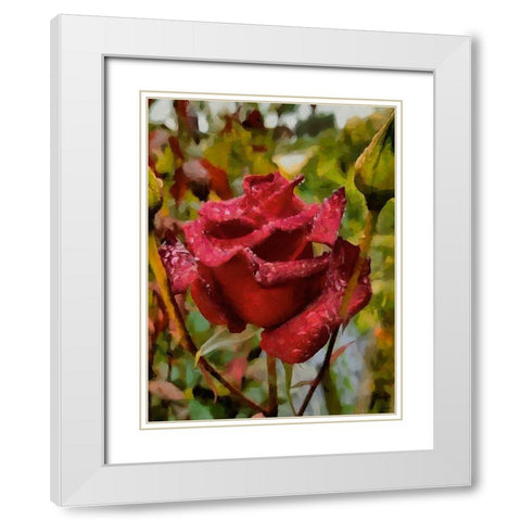 One Red Rose White Modern Wood Framed Art Print with Double Matting by Medeiros, Celito