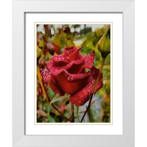 One Red Rose White Modern Wood Framed Art Print with Double Matting by Medeiros, Celito