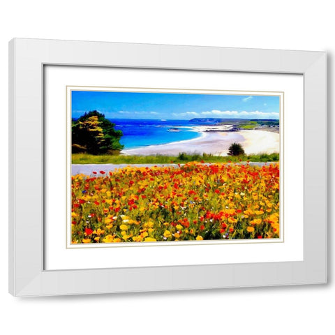 Flowers on the Field near Beach White Modern Wood Framed Art Print with Double Matting by Medeiros, Celito