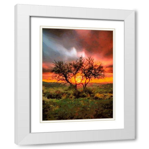 Sunset behind the Tree II White Modern Wood Framed Art Print with Double Matting by Medeiros, Celito