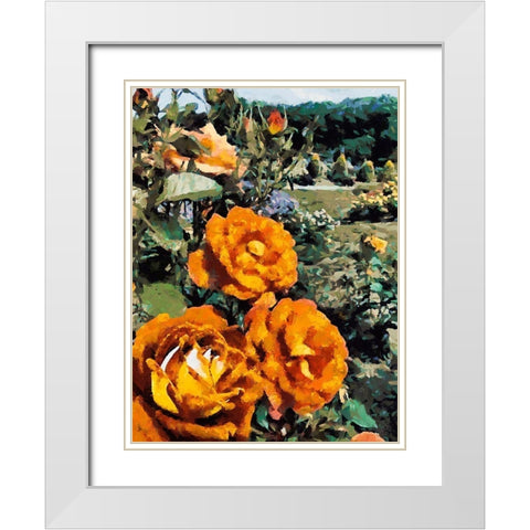 Dark Yellow Roses in the Garden White Modern Wood Framed Art Print with Double Matting by Medeiros, Celito