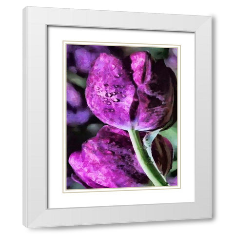 Purple Tulips White Modern Wood Framed Art Print with Double Matting by Medeiros, Celito