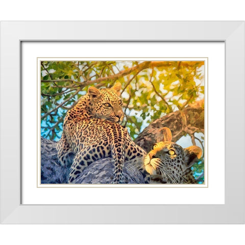 Two Leopards White Modern Wood Framed Art Print with Double Matting by Medeiros, Celito