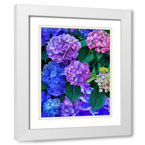Purple Hydrangea White Modern Wood Framed Art Print with Double Matting by Medeiros, Celito