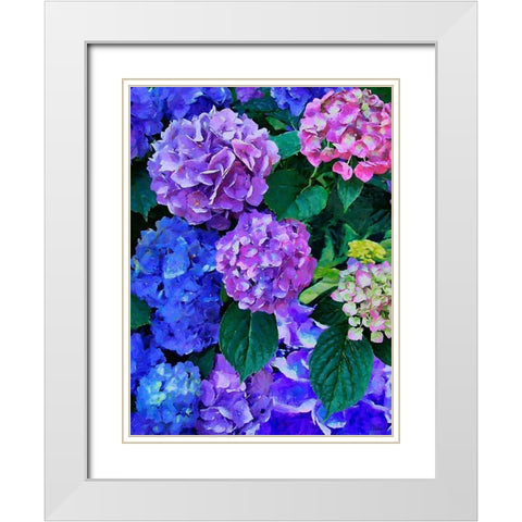 Purple Hydrangea White Modern Wood Framed Art Print with Double Matting by Medeiros, Celito