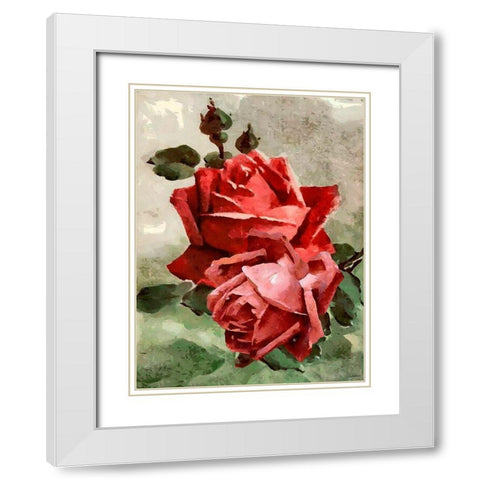 Red Roses II White Modern Wood Framed Art Print with Double Matting by Medeiros, Celito