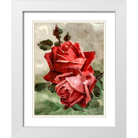 Red Roses II White Modern Wood Framed Art Print with Double Matting by Medeiros, Celito