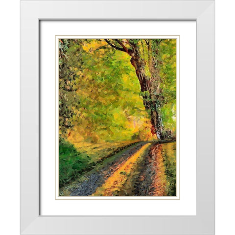 Old Tree by the Road White Modern Wood Framed Art Print with Double Matting by Medeiros, Celito
