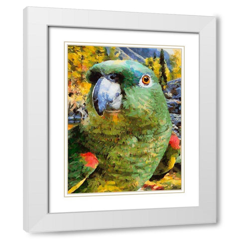 Green Parrot White Modern Wood Framed Art Print with Double Matting by Medeiros, Celito