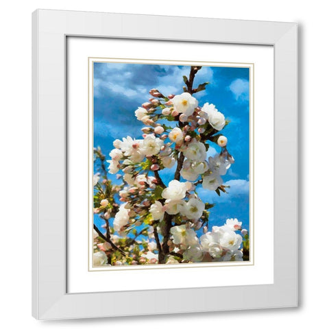 Blooming Apple Branche White Modern Wood Framed Art Print with Double Matting by Medeiros, Celito
