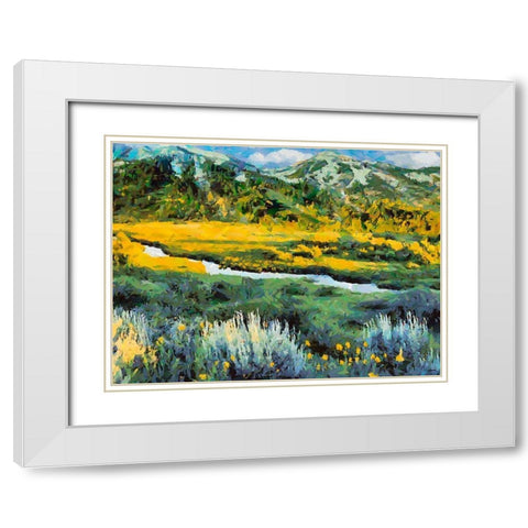 Great National Parks II White Modern Wood Framed Art Print with Double Matting by Medeiros, Celito