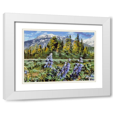 Great National Parks XV White Modern Wood Framed Art Print with Double Matting by Medeiros, Celito