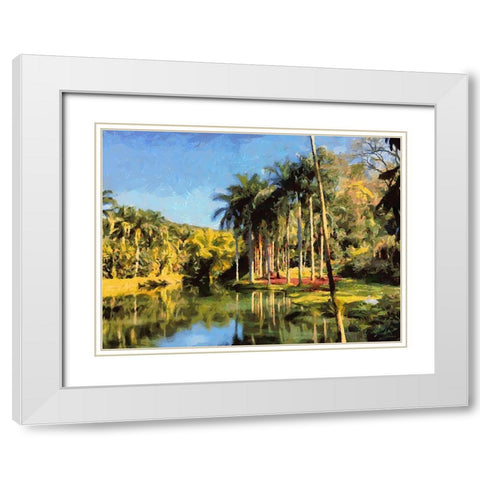Lake in Tropical Garden XI White Modern Wood Framed Art Print with Double Matting by Medeiros, Celito
