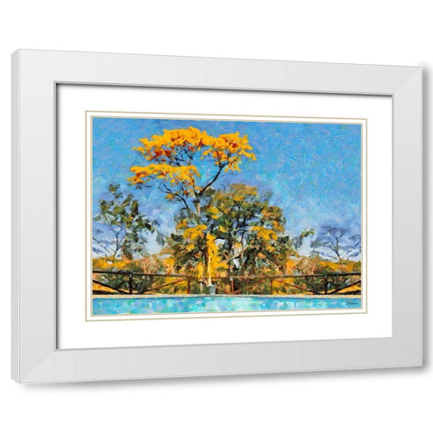 Yellow Tree by Swiiming Pool White Modern Wood Framed Art Print with Double Matting by Medeiros, Celito