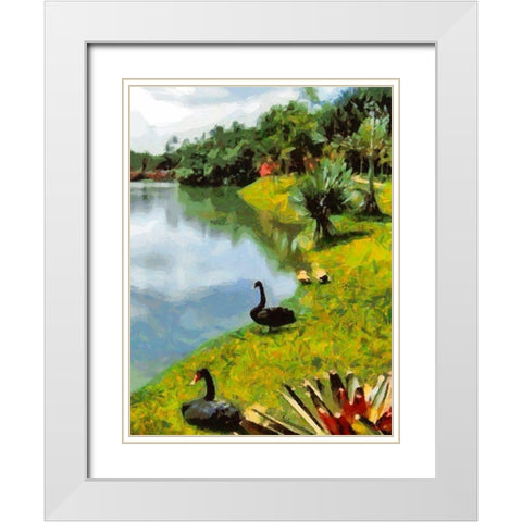 Black Swans by the Lake White Modern Wood Framed Art Print with Double Matting by Medeiros, Celito