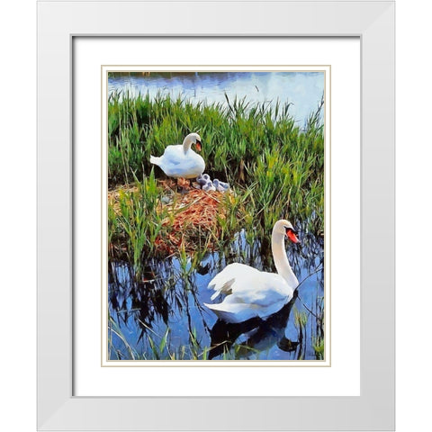 Swan Family White Modern Wood Framed Art Print with Double Matting by Medeiros, Celito