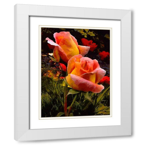Two Red Roses White Modern Wood Framed Art Print with Double Matting by Medeiros, Celito
