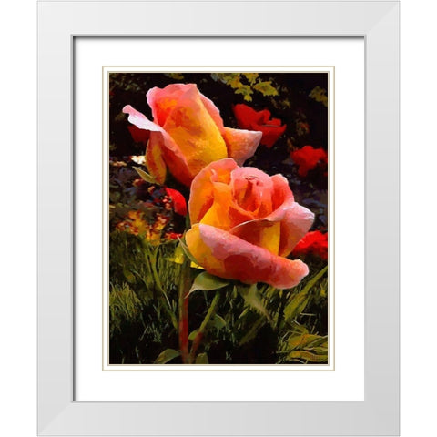 Two Red Roses White Modern Wood Framed Art Print with Double Matting by Medeiros, Celito