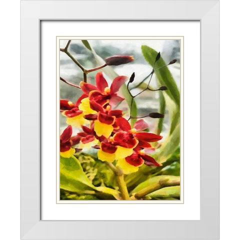 Red and Yellow Orchid White Modern Wood Framed Art Print with Double Matting by Medeiros, Celito