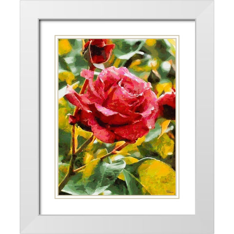 One Red Rose White Modern Wood Framed Art Print with Double Matting by Medeiros, Celito