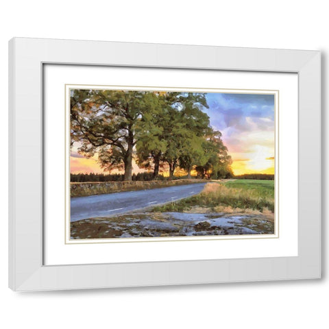 Oak Way by Sunset White Modern Wood Framed Art Print with Double Matting by Medeiros, Celito