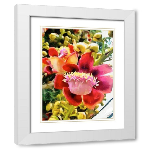 Spring Floral Variations XVI White Modern Wood Framed Art Print with Double Matting by Medeiros, Celito