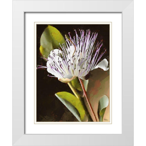 Spring Floral Variations XIX White Modern Wood Framed Art Print with Double Matting by Medeiros, Celito