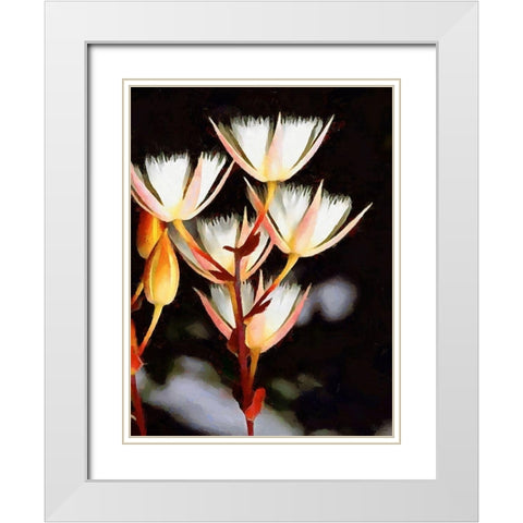 Spring Floral Variations XXV White Modern Wood Framed Art Print with Double Matting by Medeiros, Celito