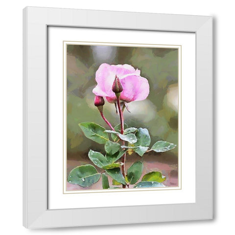 Spring Floral Variations XLVIII White Modern Wood Framed Art Print with Double Matting by Medeiros, Celito