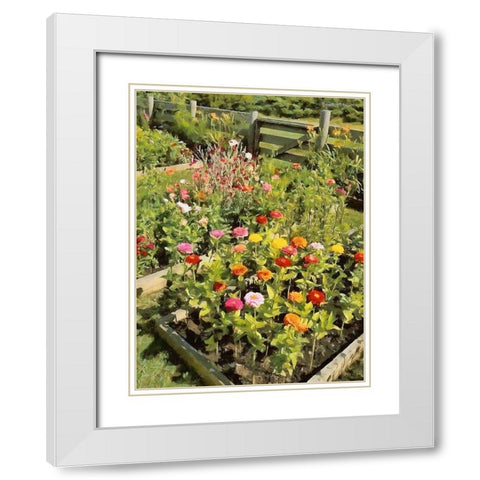 Beautiful Garden White Modern Wood Framed Art Print with Double Matting by Medeiros, Celito