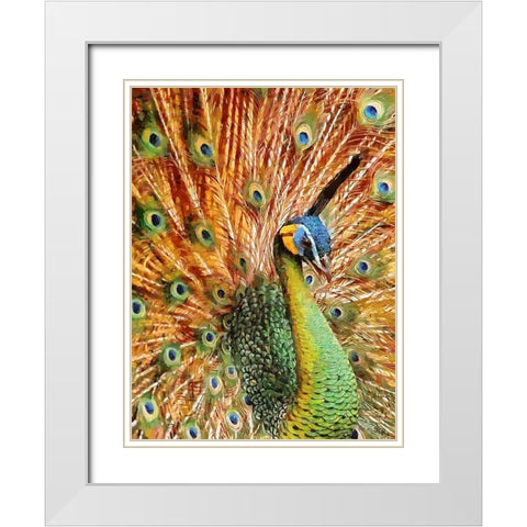 Beautiful Peacock White Modern Wood Framed Art Print with Double Matting by Medeiros, Celito