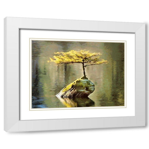 Smal Tree on a Rock in the Lake White Modern Wood Framed Art Print with Double Matting by Medeiros, Celito