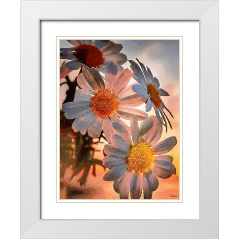 Daisies with the Sun White Modern Wood Framed Art Print with Double Matting by Medeiros, Celito
