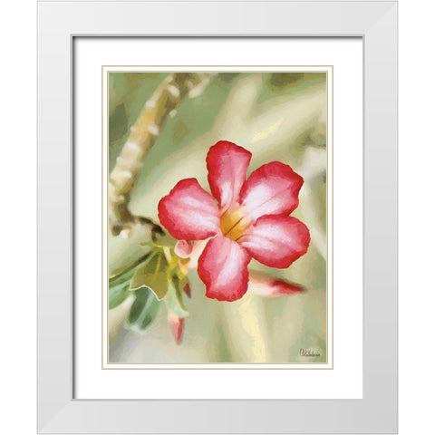 Orchids XXIV White Modern Wood Framed Art Print with Double Matting by Medeiros, Celito