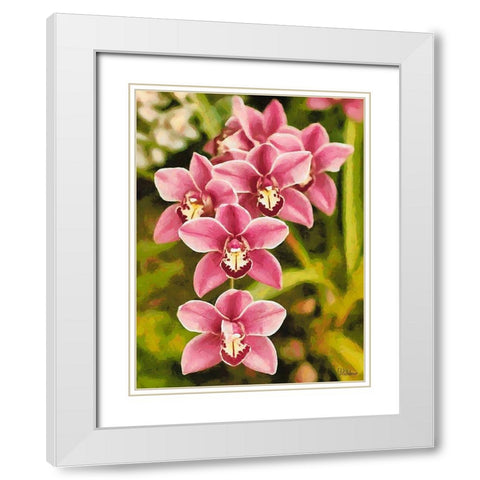 Orchids XXV White Modern Wood Framed Art Print with Double Matting by Medeiros, Celito