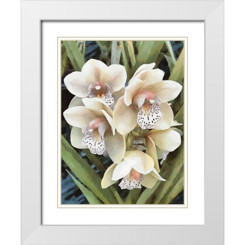 Orchids XXIX White Modern Wood Framed Art Print with Double Matting by Medeiros, Celito