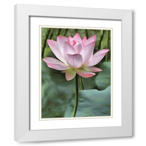 Watter Lilly II White Modern Wood Framed Art Print with Double Matting by Medeiros, Celito