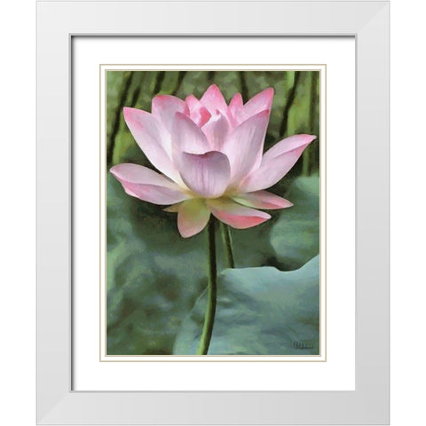 Watter Lilly II White Modern Wood Framed Art Print with Double Matting by Medeiros, Celito
