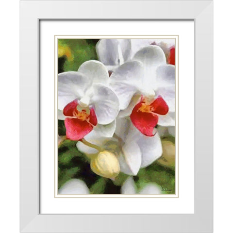 Orchids XXX White Modern Wood Framed Art Print with Double Matting by Medeiros, Celito