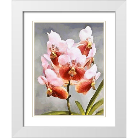 Orchids XXXI White Modern Wood Framed Art Print with Double Matting by Medeiros, Celito