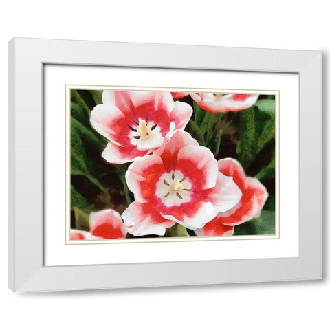 Orchids XXXV White Modern Wood Framed Art Print with Double Matting by Medeiros, Celito