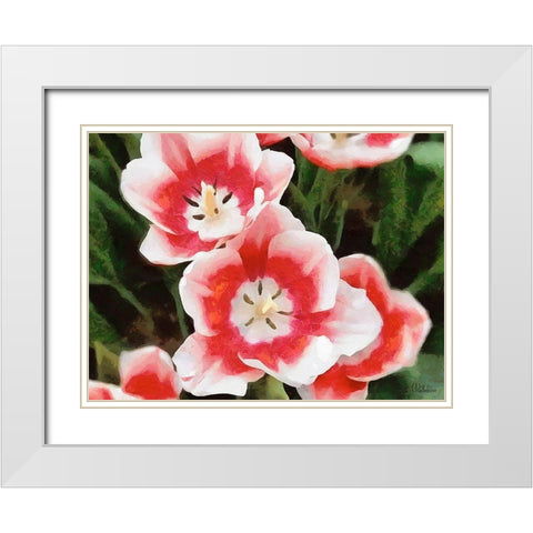 Orchids XXXV White Modern Wood Framed Art Print with Double Matting by Medeiros, Celito