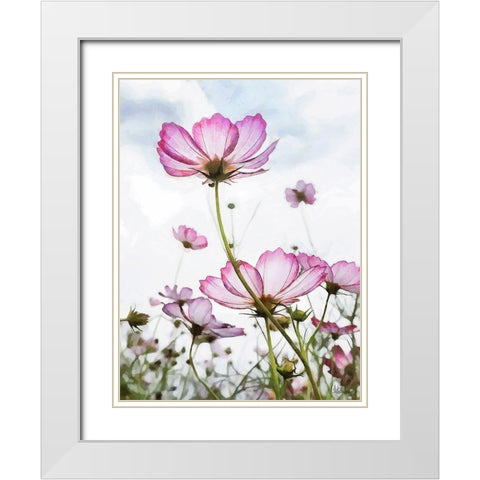 Pink light Flower White Modern Wood Framed Art Print with Double Matting by Medeiros, Celito