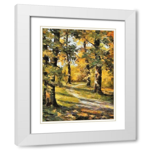 Way in Forest I White Modern Wood Framed Art Print with Double Matting by Medeiros, Celito