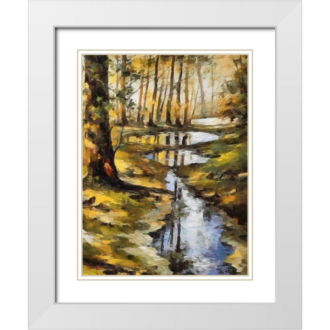 Small Stream in Forest White Modern Wood Framed Art Print with Double Matting by Medeiros, Celito