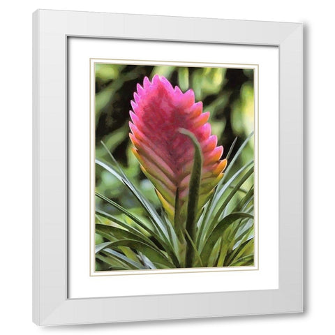 I like Flowers II White Modern Wood Framed Art Print with Double Matting by Medeiros, Celito